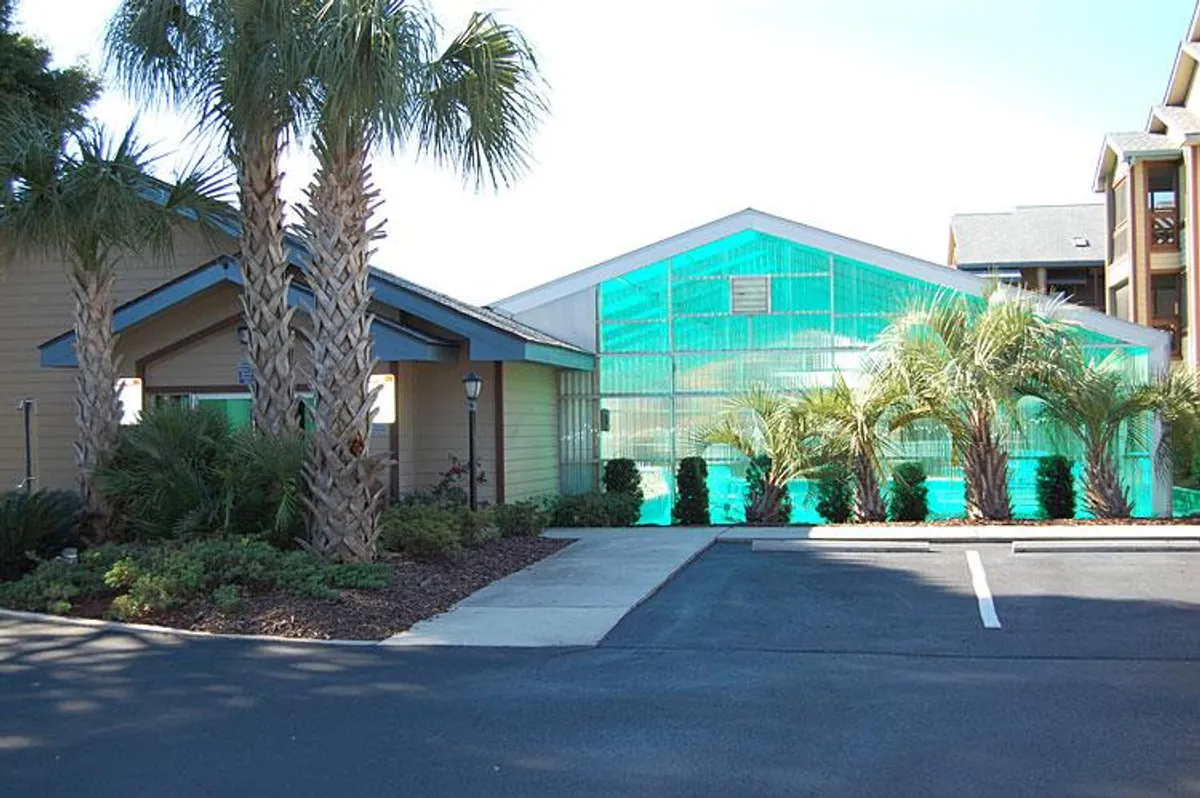 A serene exterior scene showcases palm trees, a greenhouse, and an entrance walkway, inviting guests to explore communal green spaces and relax outdoors. The image conveys opportunities to enjoy the mild weather and community amenities.