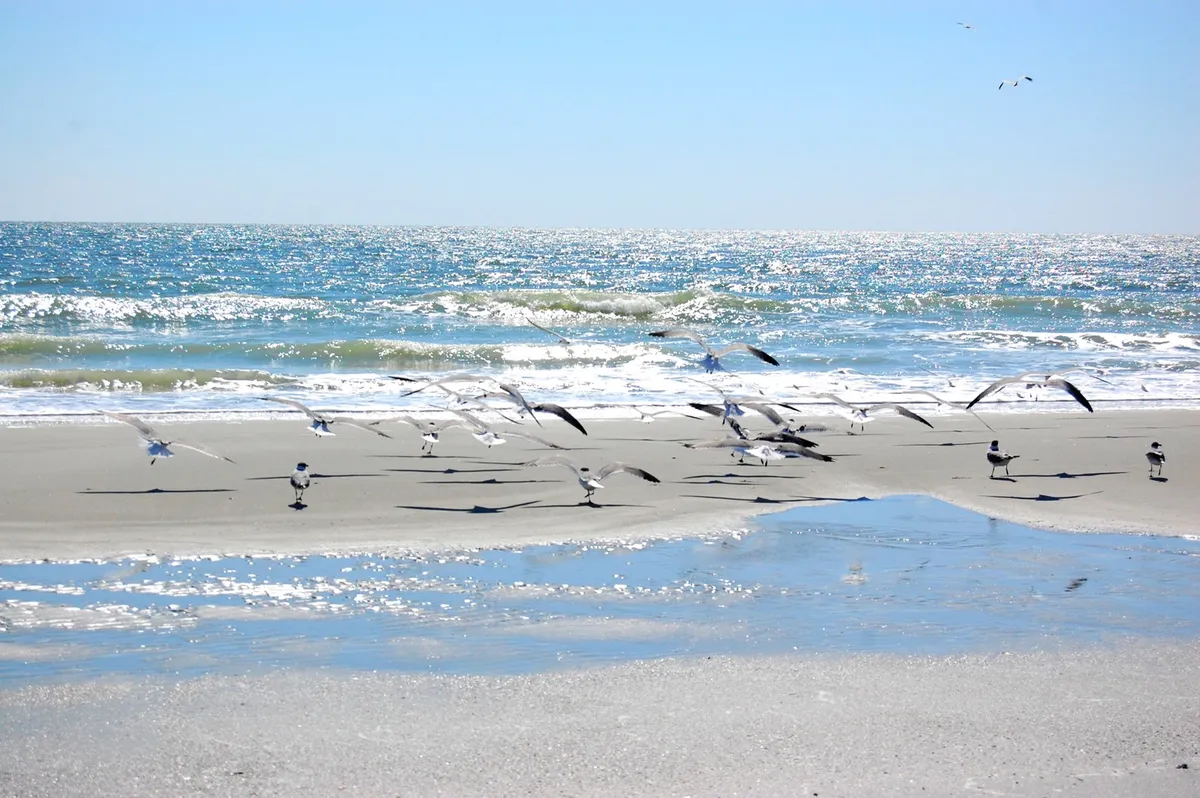 A tranquil exterior shot of the beach, with gentle waves, seagulls, and soft sand reflecting the sunset. The peaceful atmosphere is ideal for a romantic walk, unwinding after a day filled with activities.