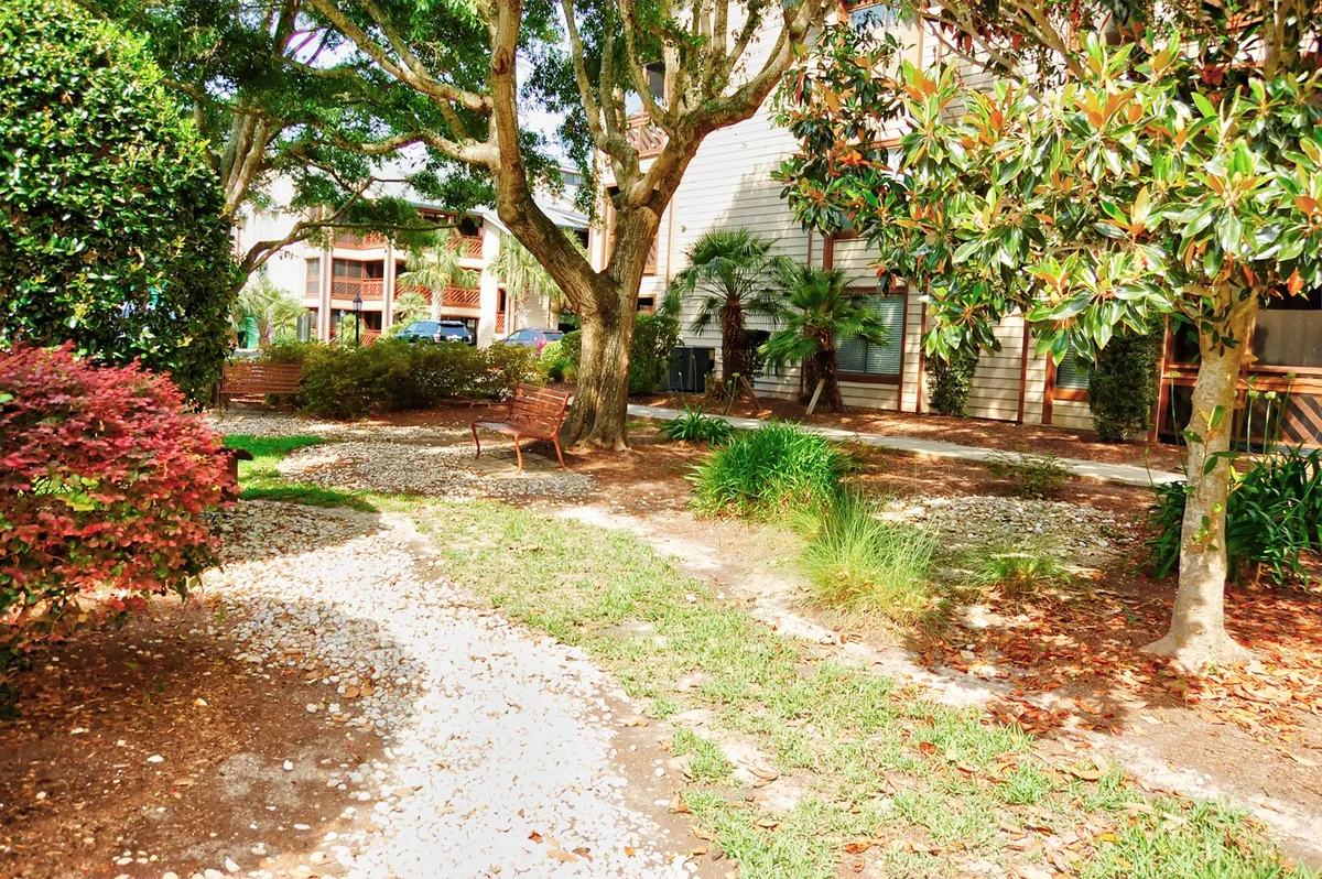 A meandering pathway winds through lush greenery, with benches placed alongside for relaxation and casual socializing. The tranquil outdoor setting is ideal for walks, conversations, or simply unwinding after a day of exploring nearby attractions.